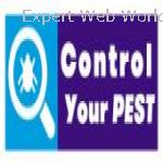 Control  Your Pest in london